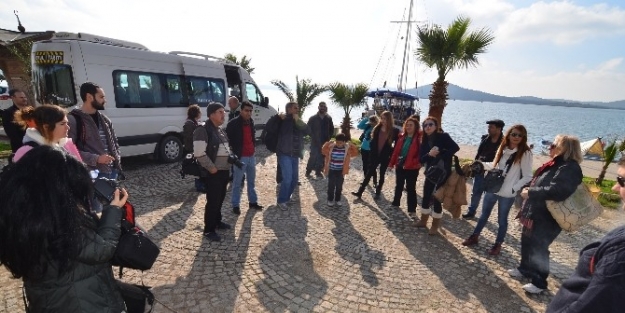 Edfok Çalişmalarina Devam Ediyor