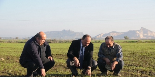 Ceyhan’a Yapay Mera Tesisi