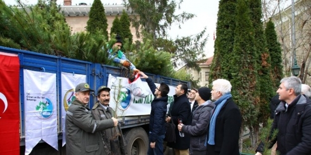 Eskişehir’de Fidan Dağıtımı