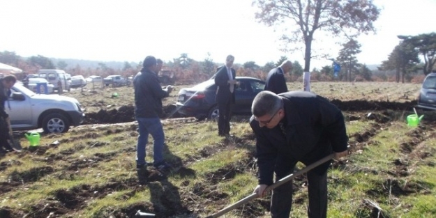 Gelir Getirici Fidanlar Toprakla Buluştu