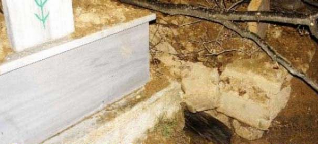 Ayı mezardan ceset çıkarıp kaçtı