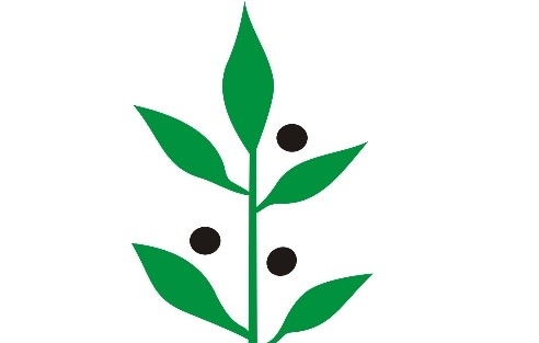 Edremit Belediyesi Yeni Logo Arıyor