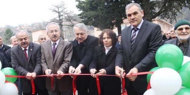 Çam Yerine Gelir Getirici Fidanlar Dikiliyor