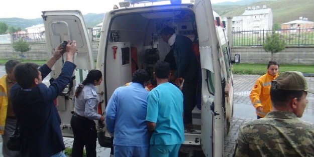 Eşek kavgası ölümle bitti