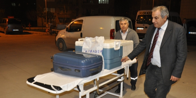 70 yaşındaki kadının karaciğeri bir hastayı kurtardı