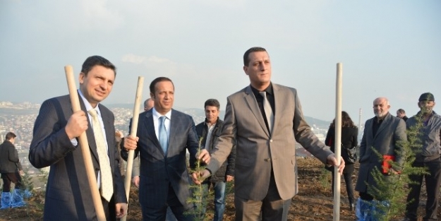 Diliskelesi’ne 4 Bin Fidan Dikildi