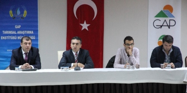 Gap Yayım Elemanlarına "iyi - Organik Tarım” Eğitimi
