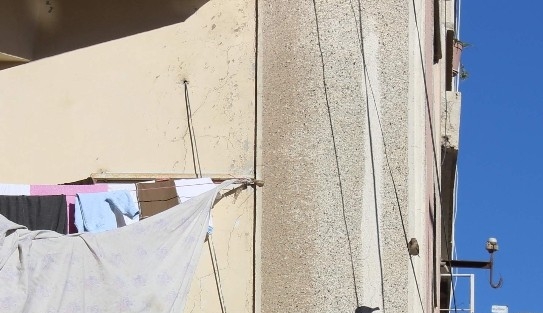 Kuşların Karınlarını Doyurma Telaşesi