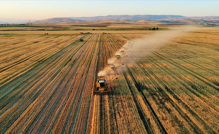 Tarımsal girdi fiyatlarında yeni zirve: Yıllık yüzde 135 arttı