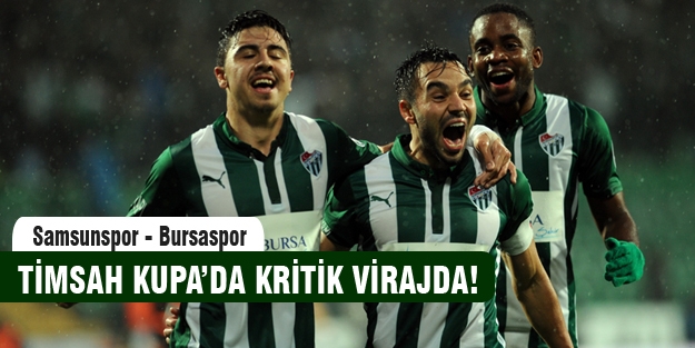 Timsah kupada kritik virajda!