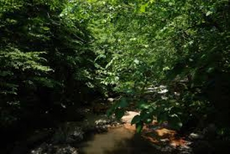 Kız kardeşini av tüfeğiyle öldürdü!