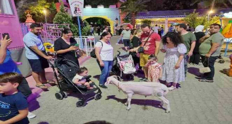 Bursa'da sahibiyle lunaparka giden kuzu ilgi odağı oldu