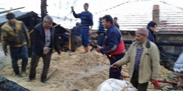 Sönmeden Bırakılan Kova Samanlıkta Yangın Çikardi