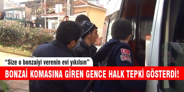 Bursa'da bonzai krizi!