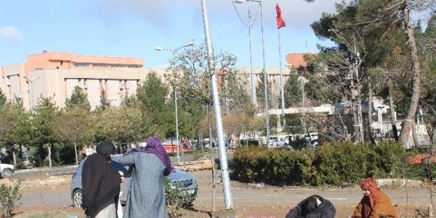 Suudi Arabistan’dan Mardin’deki Suriyelilere Yardım