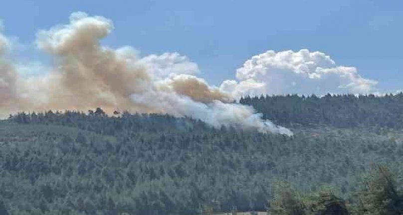 Bursa'da orman yangını için müthiş seferberlik...Yangın kontrol altında