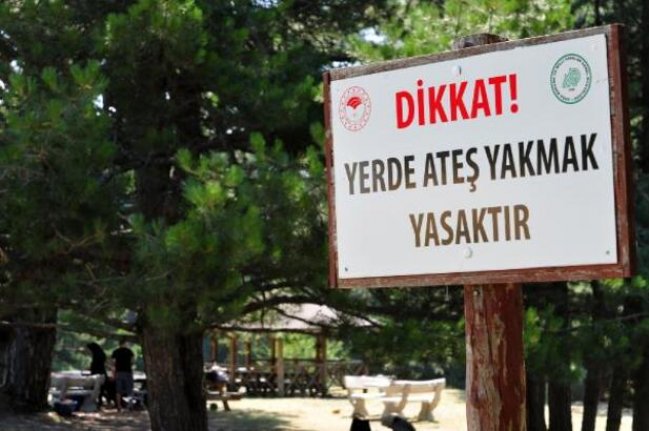 Bursa'da mangal yasağı piknikçileri küstürdü ama yaban hayatı canlandırdı