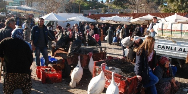 Hindiler El Yakıyor