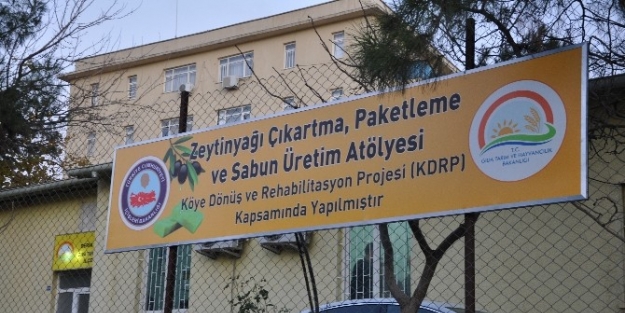 Derik’te Zeytinyağı Tesisi Açıldı