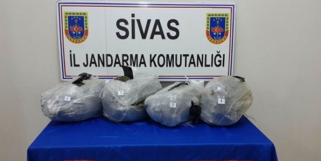 Sivas’ta 20 Kilo Esrar Ele Geçirildi