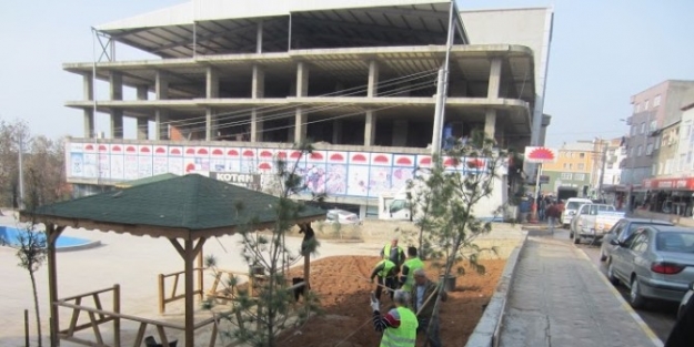 Dilovası’nda Ağaçlandırma Çalişmalari Devam Ediyor