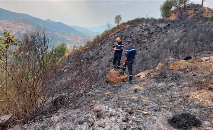 Cezayir'deki orman yangınlarında 26 kişi öldü