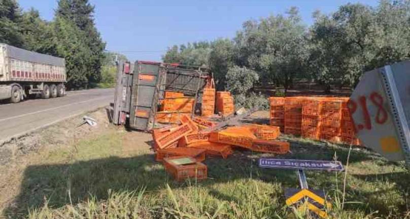 Bursa'da canlı tavuk yüklü TIR devrildi! Çok sayıda tavuk telef oldu