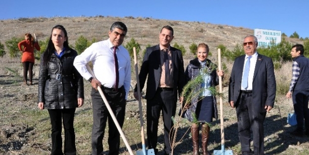 Belediye Ve Çevkor İle Birlikte Fidan Dikti