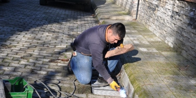 Zeytinli Mahallesi’ Nde Çalişmalar Devam Ediyor