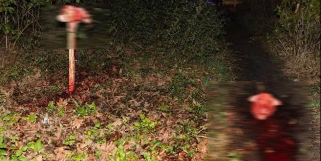 Camiye çirkin saldırı