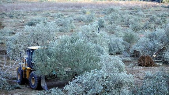 Danıştay'dan flaş karar!