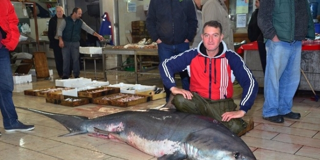 Üç Metrelik ’’canavar’’ İzmir Körfezi’nde Yakalandı