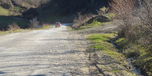 Vatandaşların Yol Tepkisi