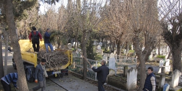 Eski Mezarlıkta Bakım Çalişmasi