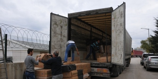 Sahte Mühürlü Tır’da 313 Bin Paket Kaçak Sigara Ele Geçirildi