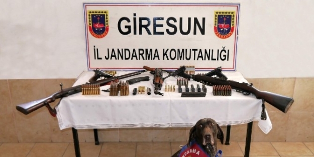 Giresun’da Jandarmadan Silah Kaçakçılarına Baskın