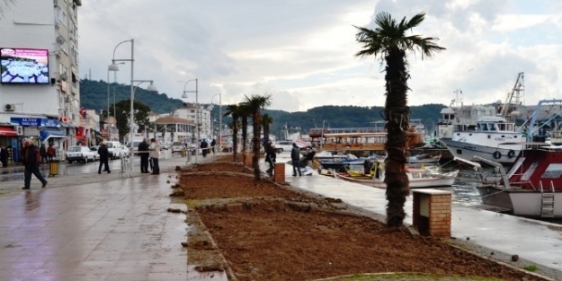 Ayvalıkta Cumhuriyet Meydanında Yürüme Alanları Genişletiliyor