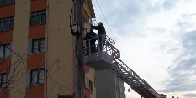 Saltukova’da Yeni Yıl Öncesi Hazırlıklar Devam Ediyor