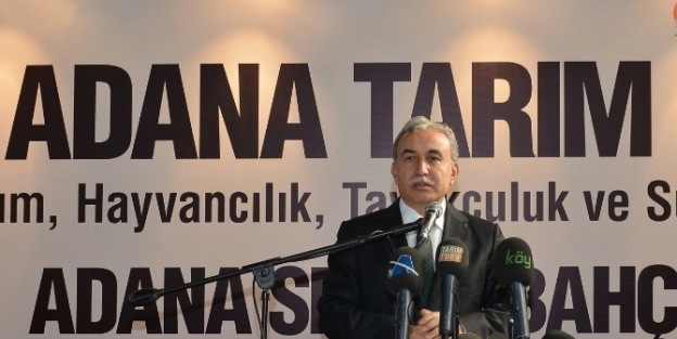 Vali Büyük: "tarım, Vazgeçilmez Zenginliğimizdir"