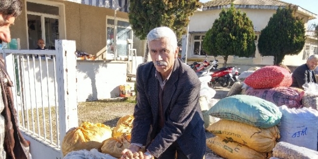 Ege’nin Kestane Ve Ceviz Ambarı Tire