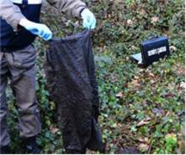 Ormanda korkutan manzara