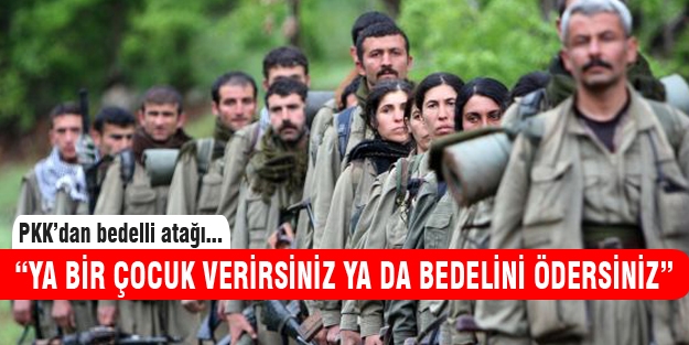 PKK'dan bedelli atağı