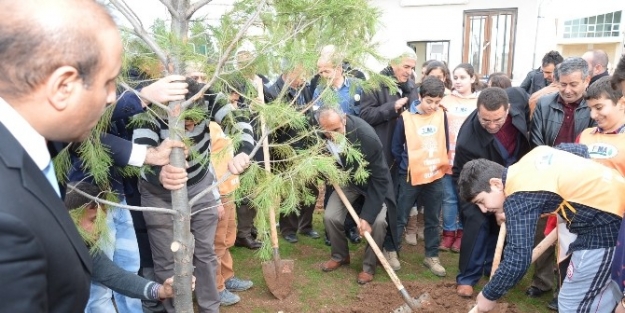 Viranşehir’de Akyürek Tema Vakfı İle Ağaç Dikti