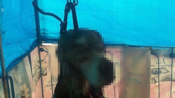 Derisini yüzüp kapıya astılar!