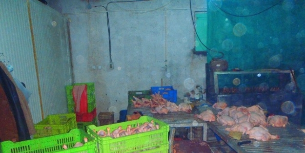 Kartepe’de Kaçak Tavuk Kesimi Yapanlara Baskın