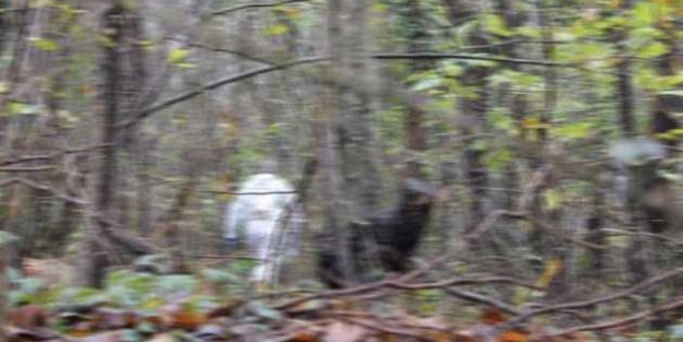 Antalya'da IŞİD'den beter vahşet!