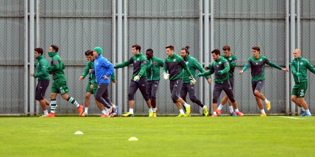 Timsah ara vermeden çalışıyor!