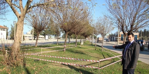 Tire’nin Sembolü Lalelerin Dikimine Başlandı