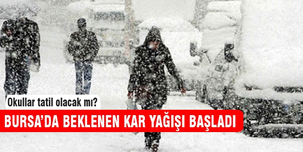 Bursa'da kar yağışı başladı