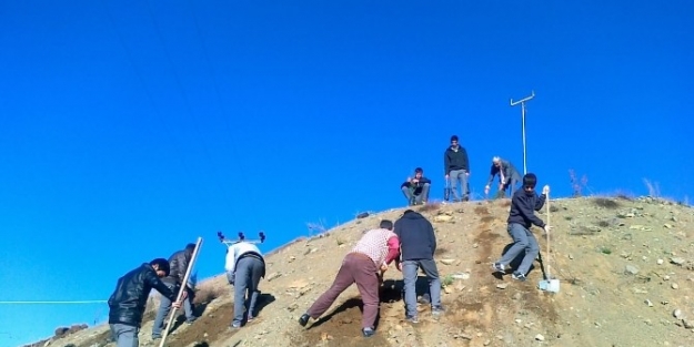 Sincik Çpl’den ’geleceğe Yaşam Dikiyoruz’ Projesi